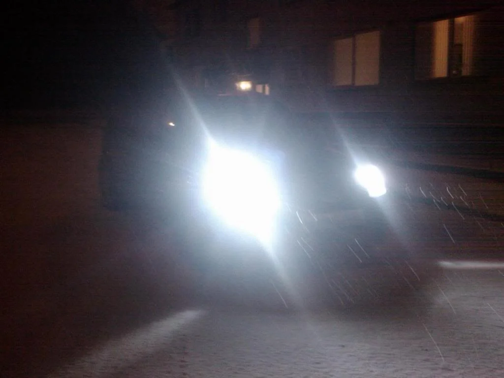 IMAG0036.webp