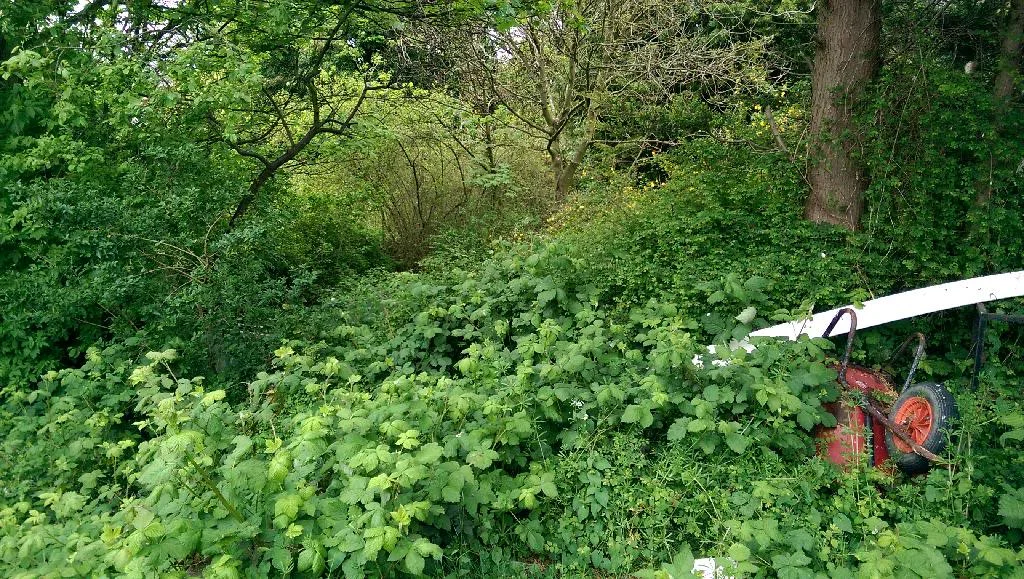 IMAG0037_zpssstpkgq8.webp