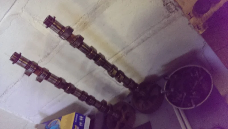 IMAG0044.webp