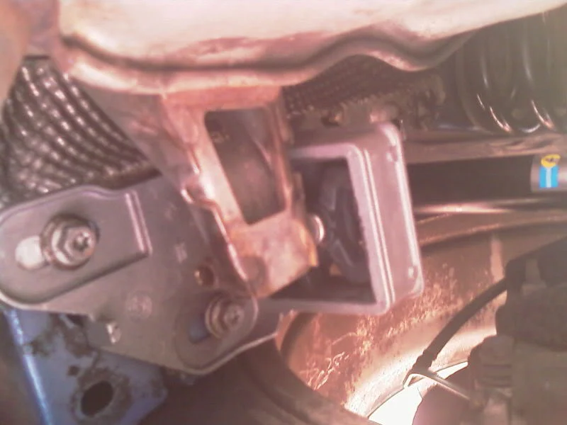 IMAG0056.webp