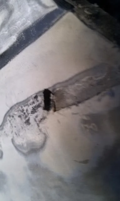 IMAG0070.webp