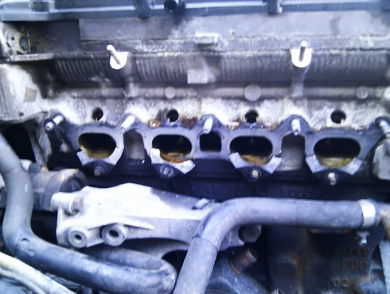 IMAG0097.webp