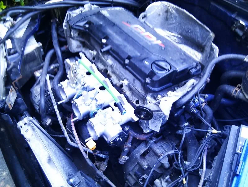 IMAG0099.webp