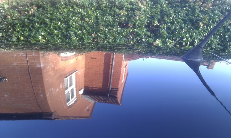 IMAG0111.jpg IMAG0111.jpg