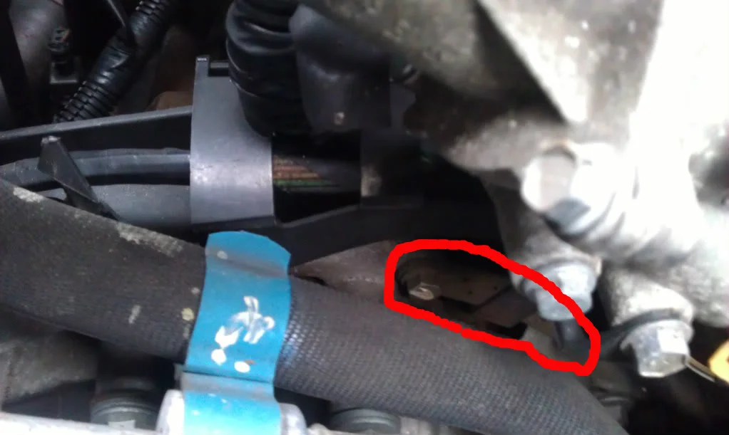 IMAG0112-1.webp