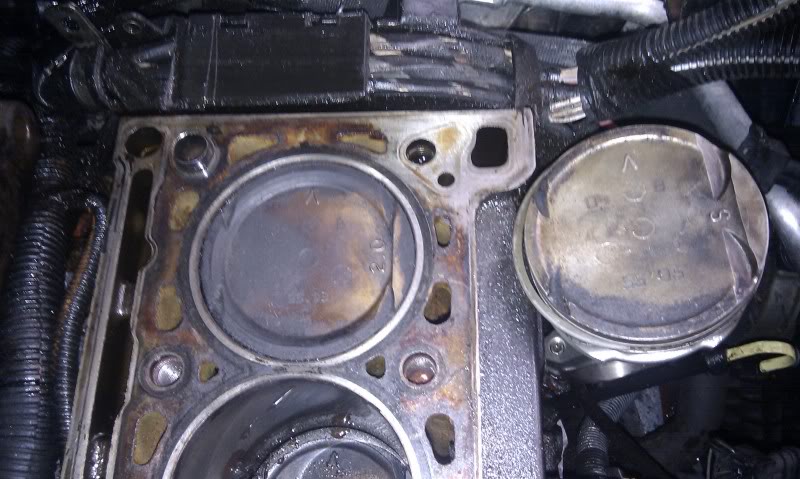 IMAG0114.jpg
