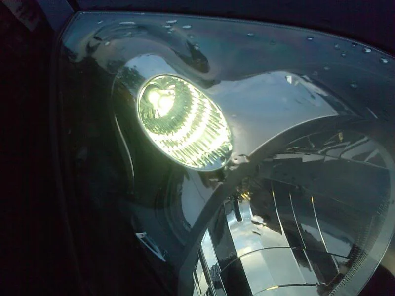 IMAG0114.webp