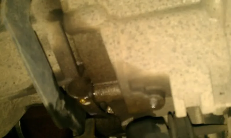 IMAG0118.webp