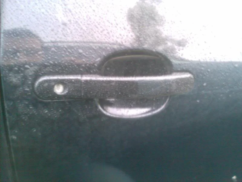 IMAG0131.webp
