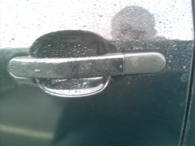 IMAG0133.webp