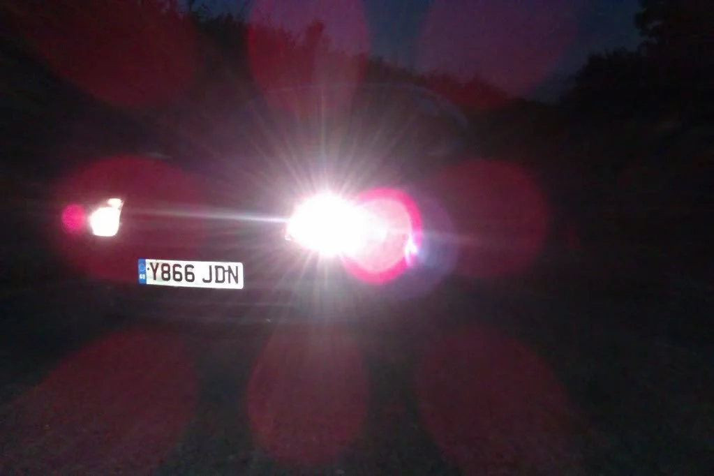 IMAG0133.webp