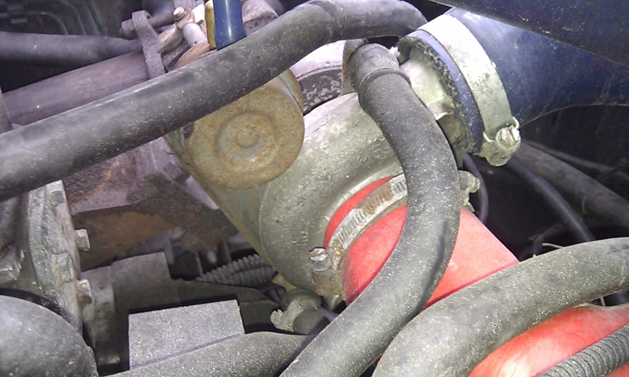IMAG0139.jpg