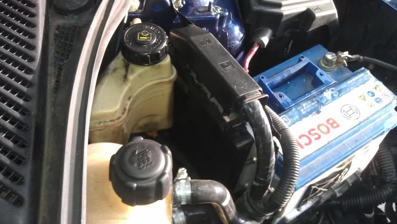 IMAG0151-1.webp