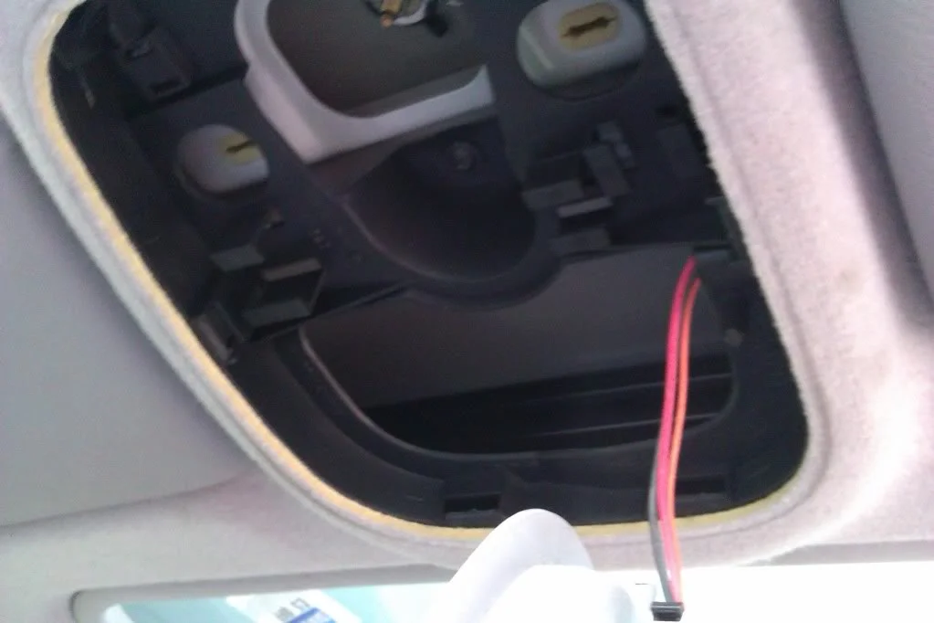 IMAG0155.webp