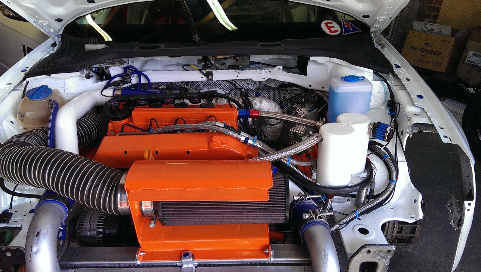 IMAG0174.jpg