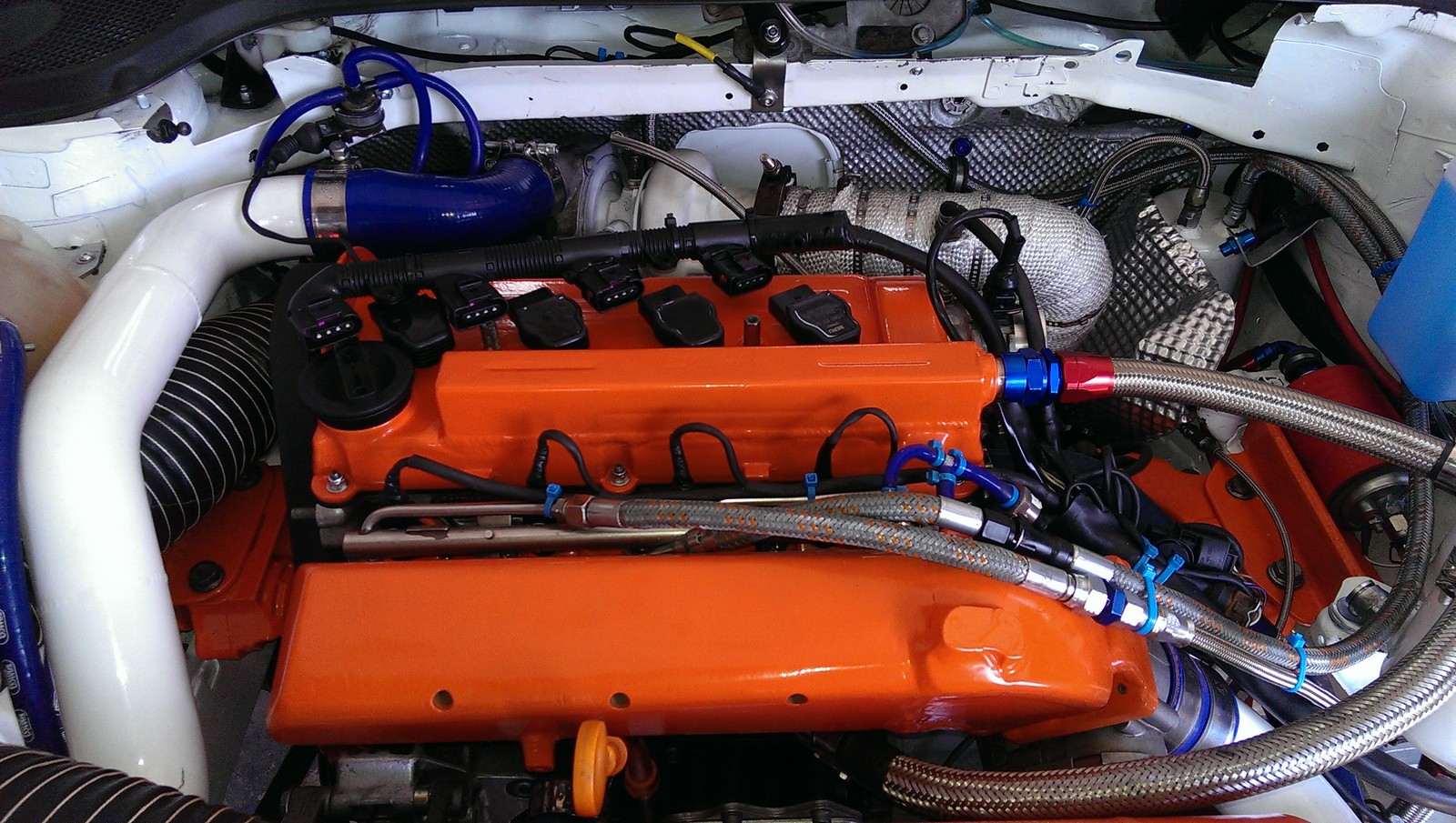 IMAG0175.jpg