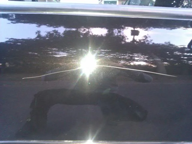 IMAG0183.webp