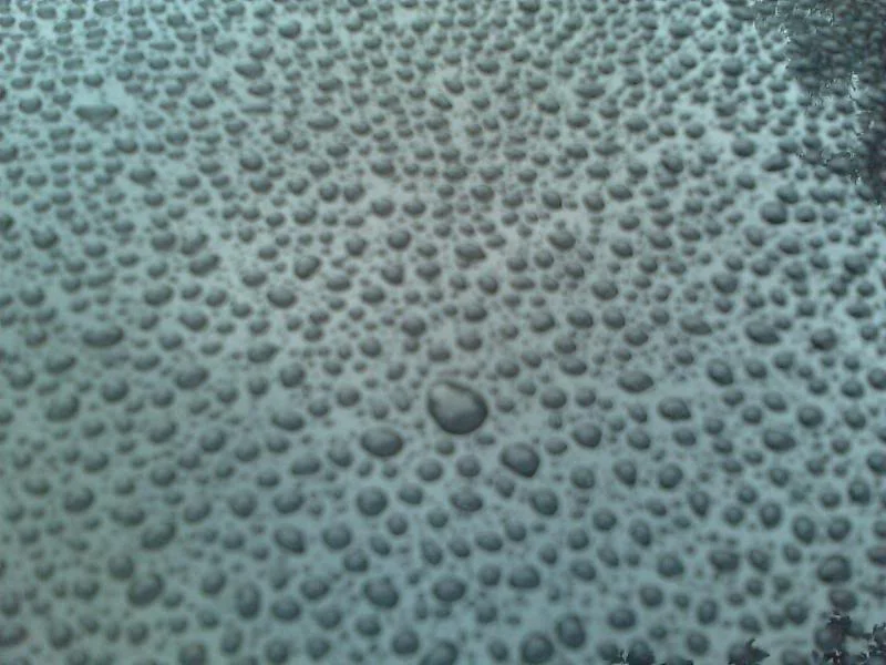 IMAG0188.webp