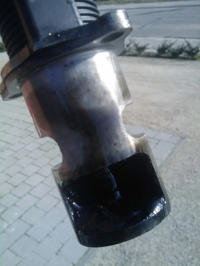 IMAG0188.webp