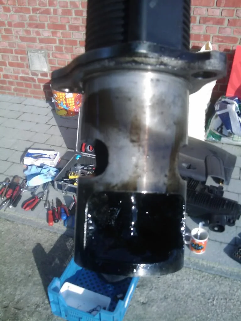 IMAG0190.webp