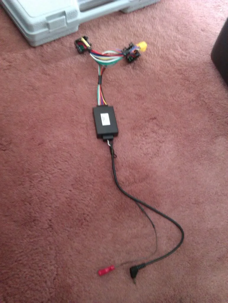 IMAG0199.webp