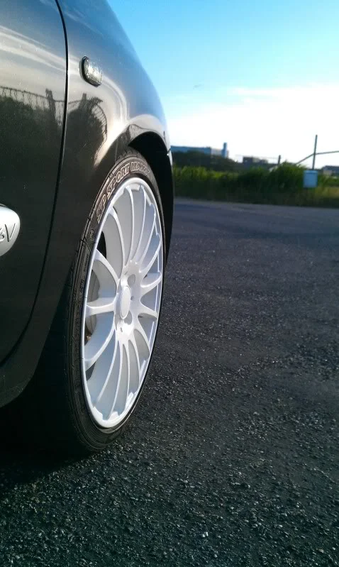IMAG0205.webp