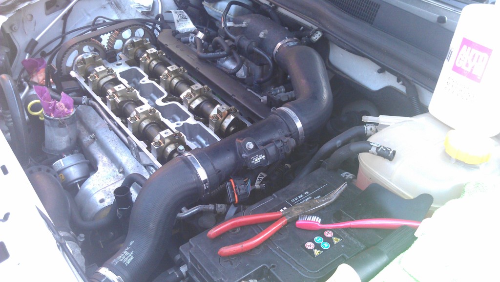 IMAG0215.jpg