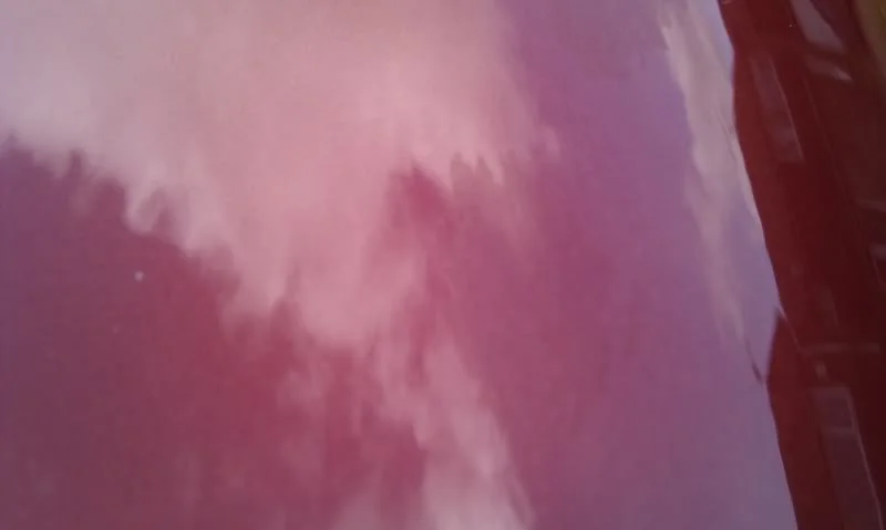 IMAG0217.webp