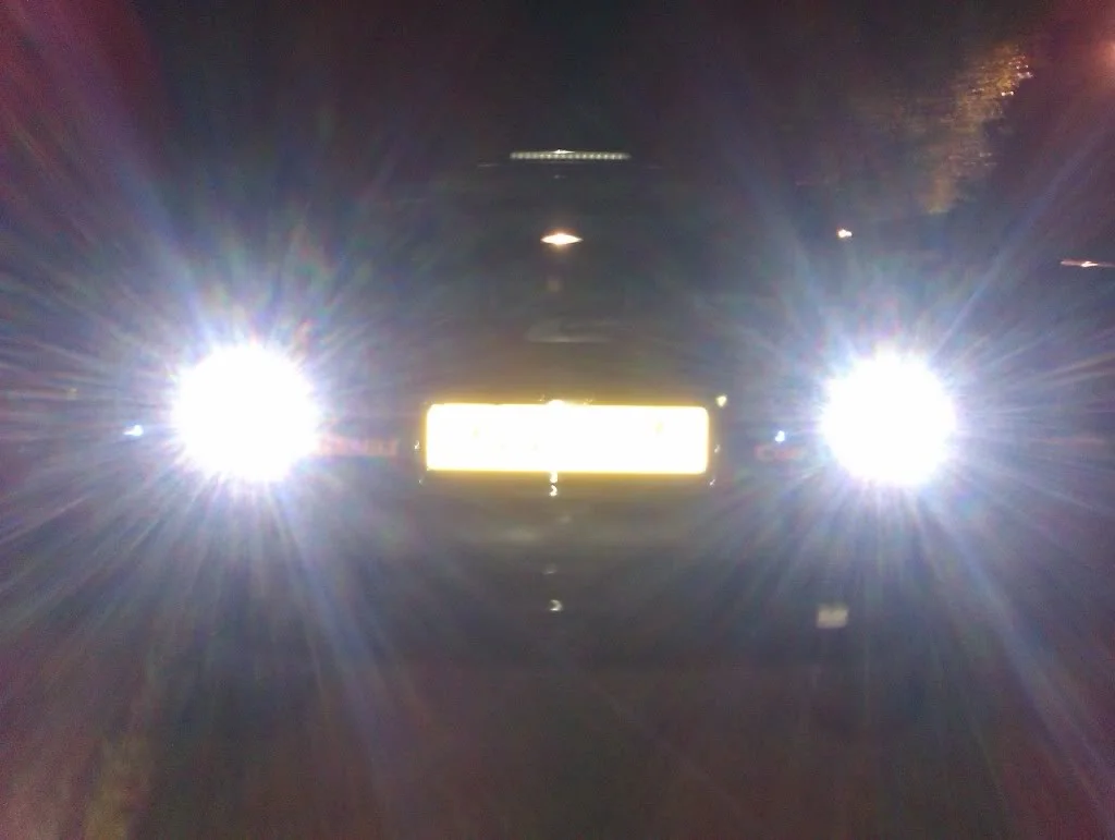 IMAG0220.webp