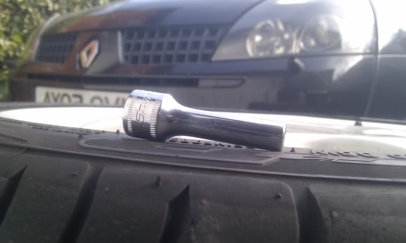 IMAG0221.jpg