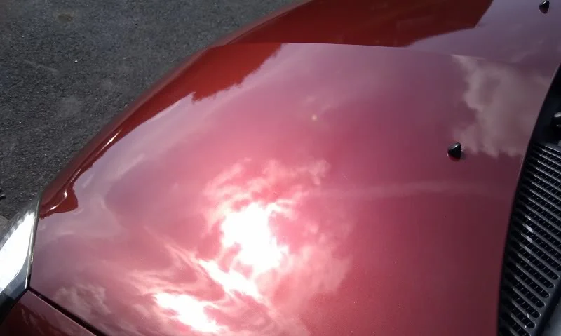 IMAG0221.webp