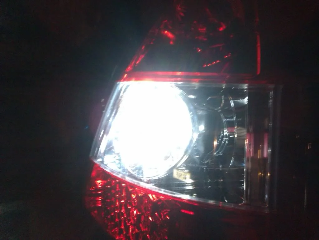 IMAG0221.webp