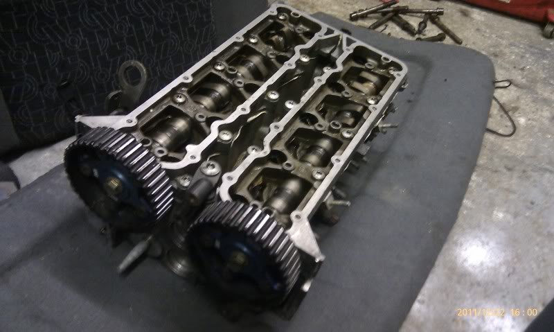 IMAG0226.jpg