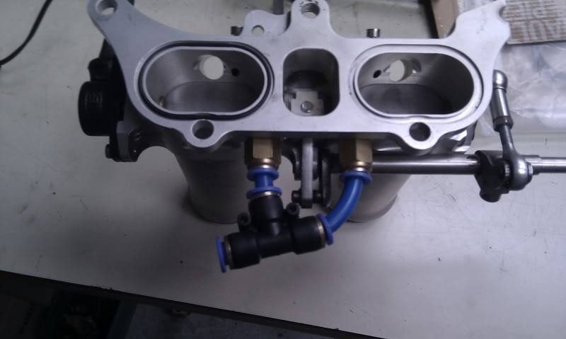 IMAG0233.jpg