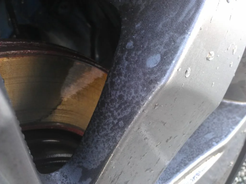 IMAG0249.webp