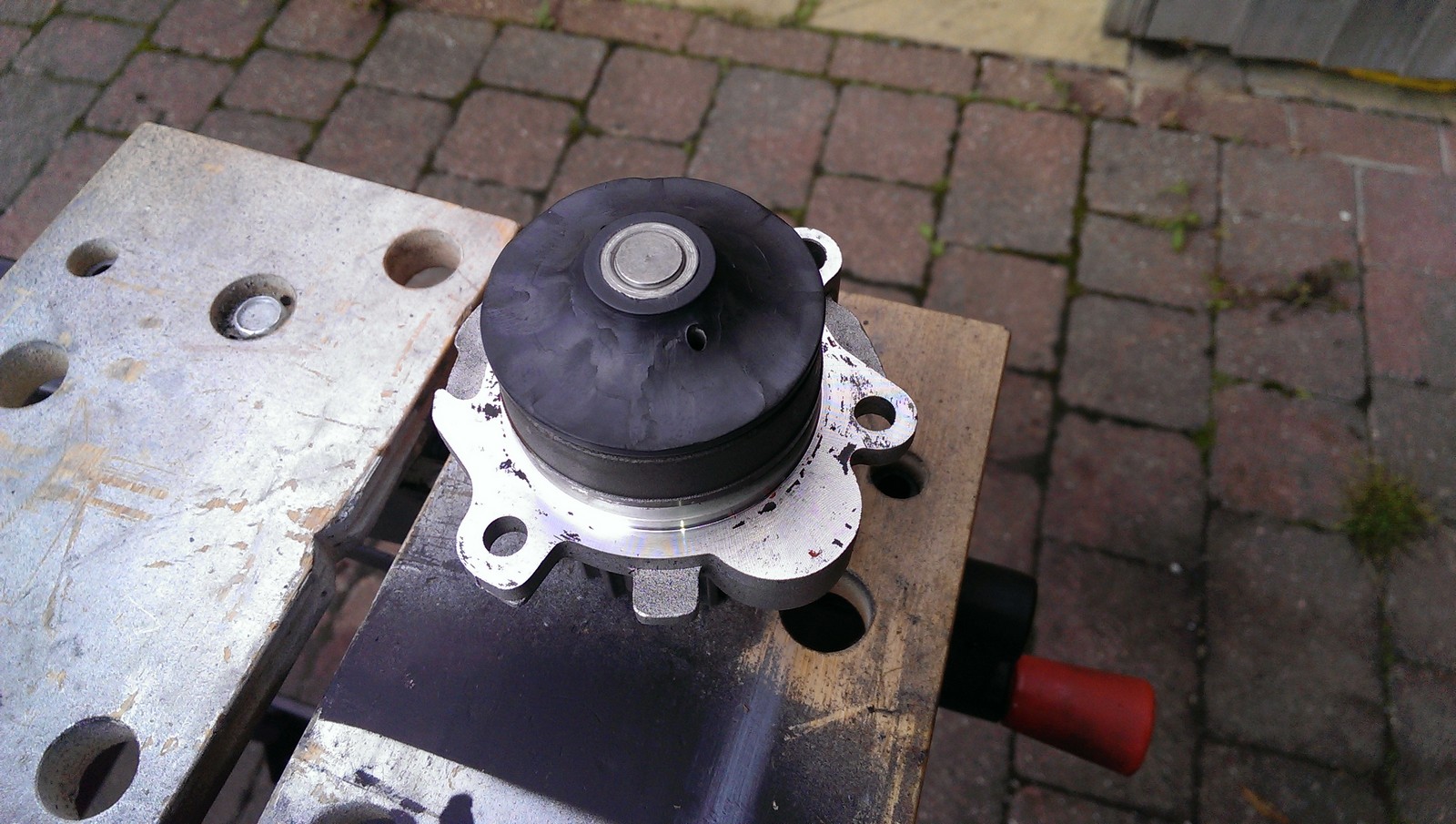 IMAG0251.jpg