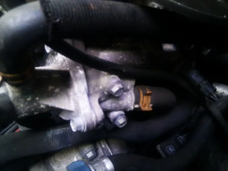 IMAG0251.webp