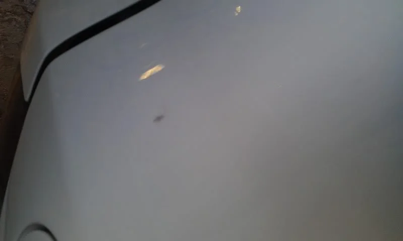 IMAG0253.webp