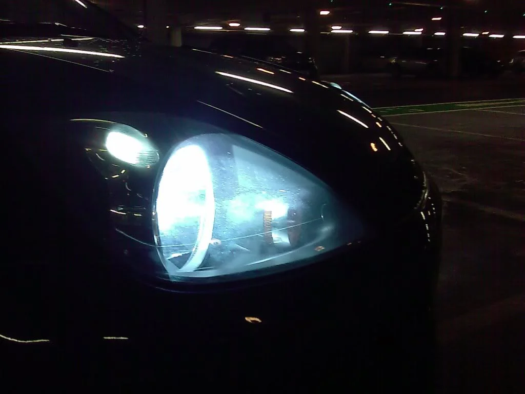IMAG0254.webp