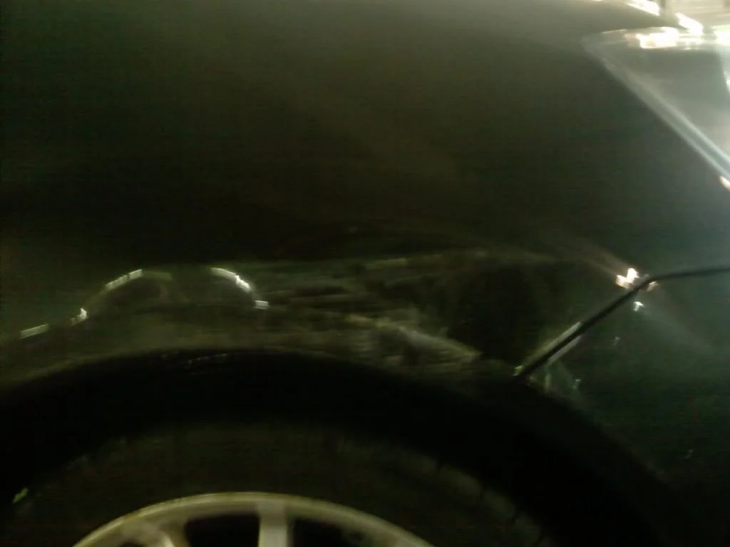 IMAG0255.webp