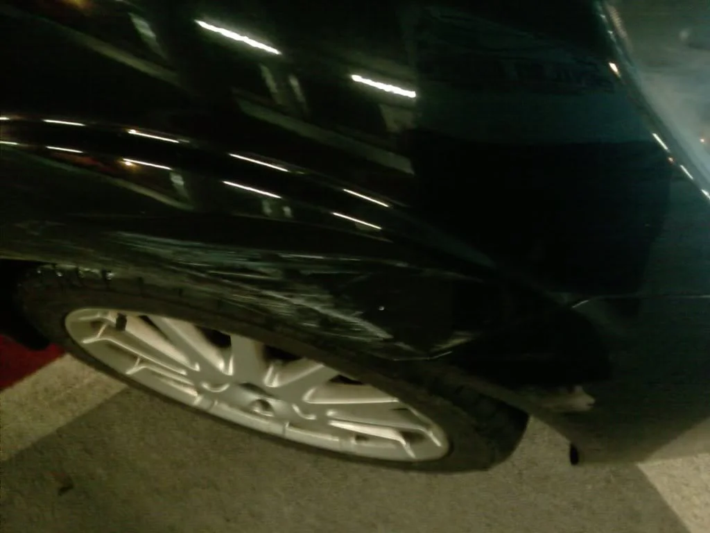 IMAG0256.webp
