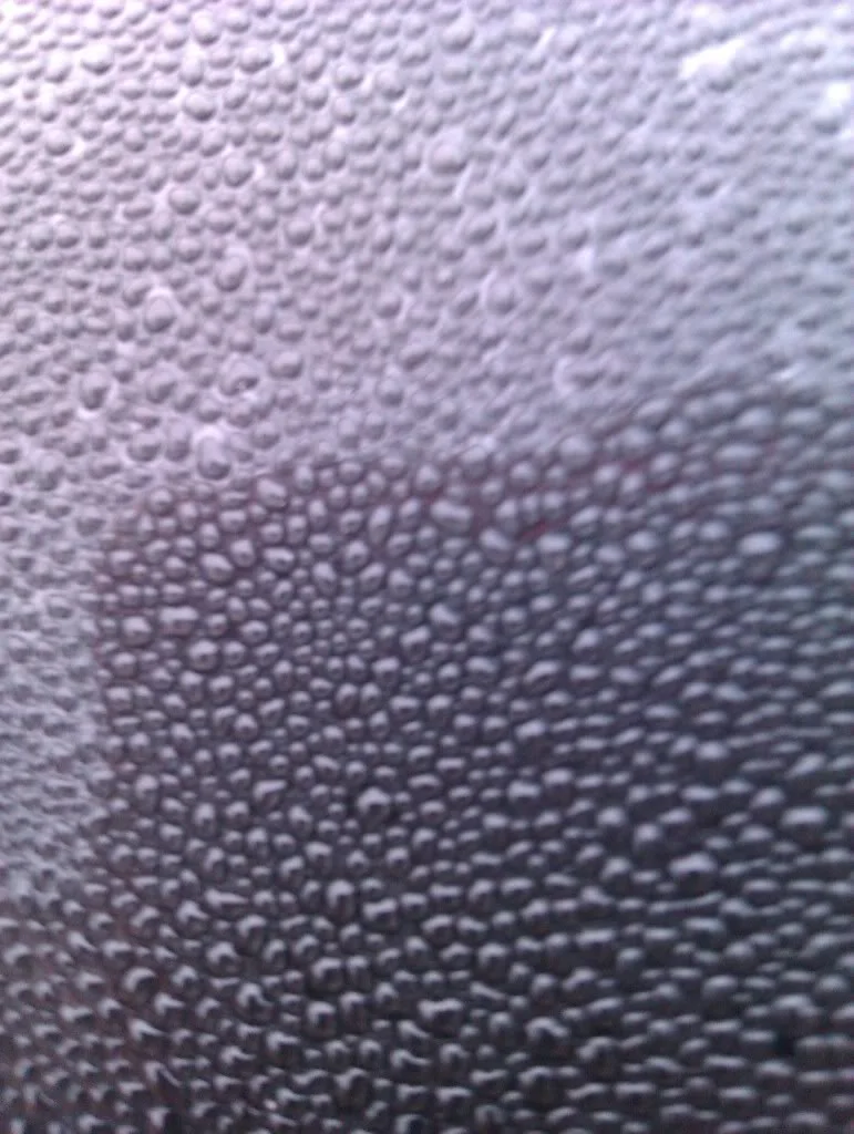 IMAG0256.webp