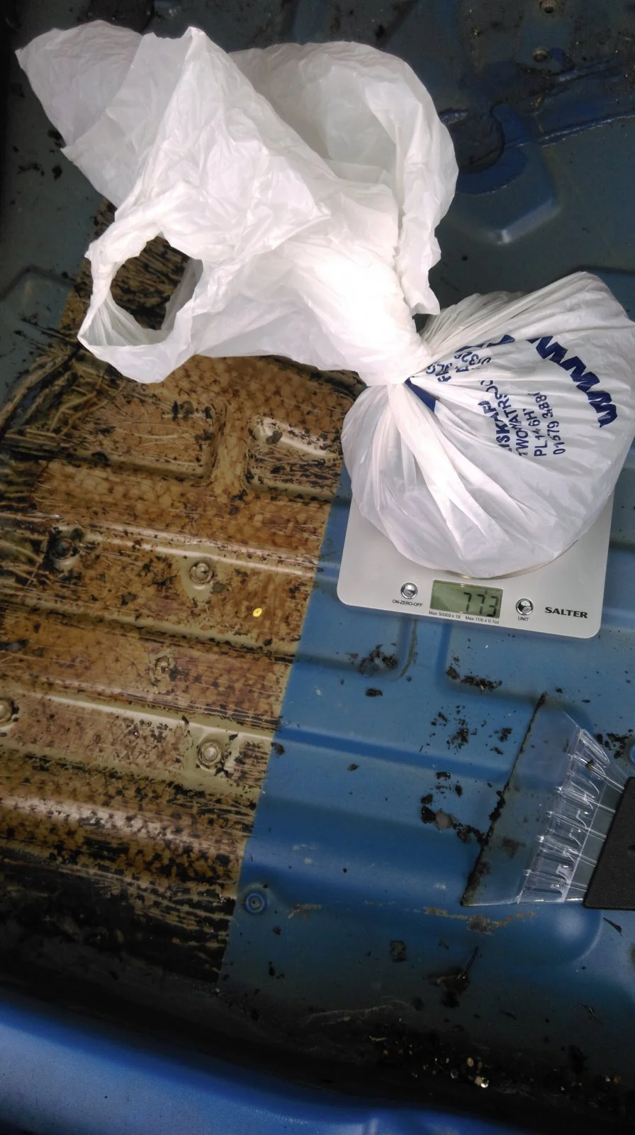 IMAG0267.webp