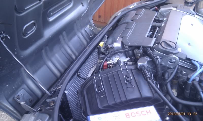 IMAG0286.jpg