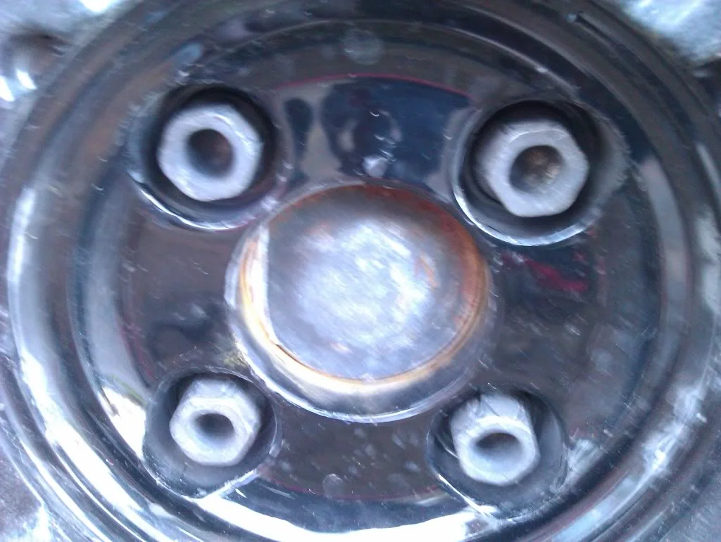 IMAG0289.webp