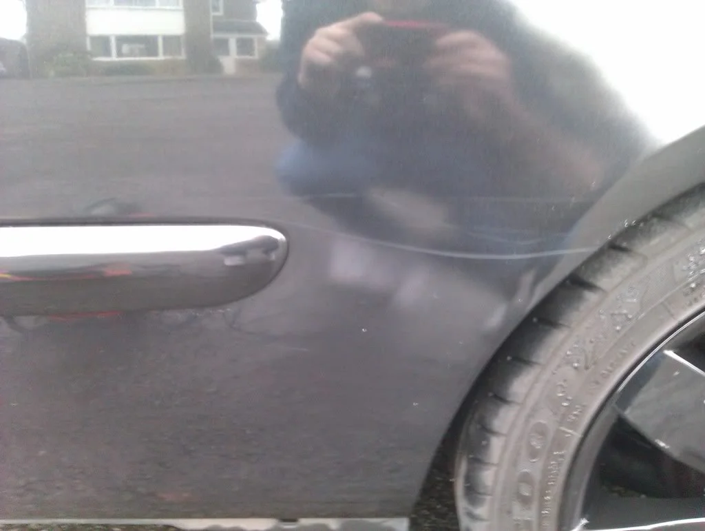 IMAG0321.webp