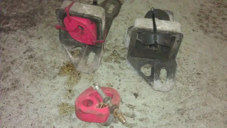 IMAG0355.webp