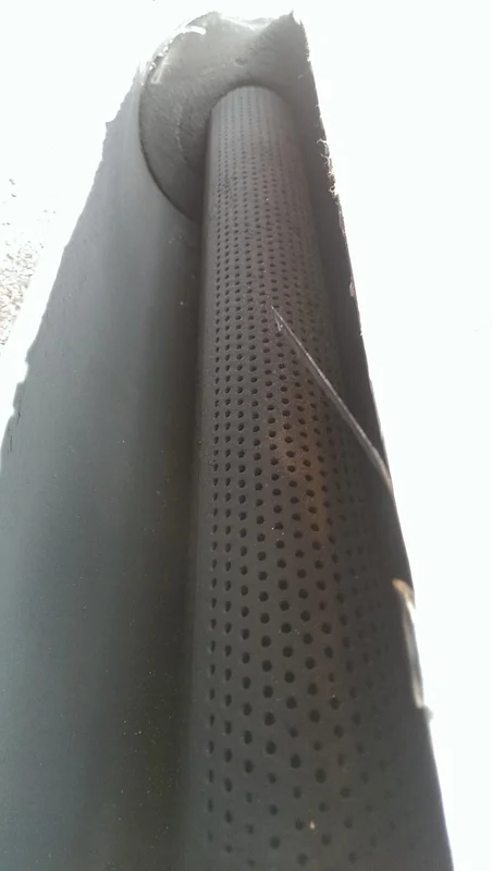 IMAG0439.webp