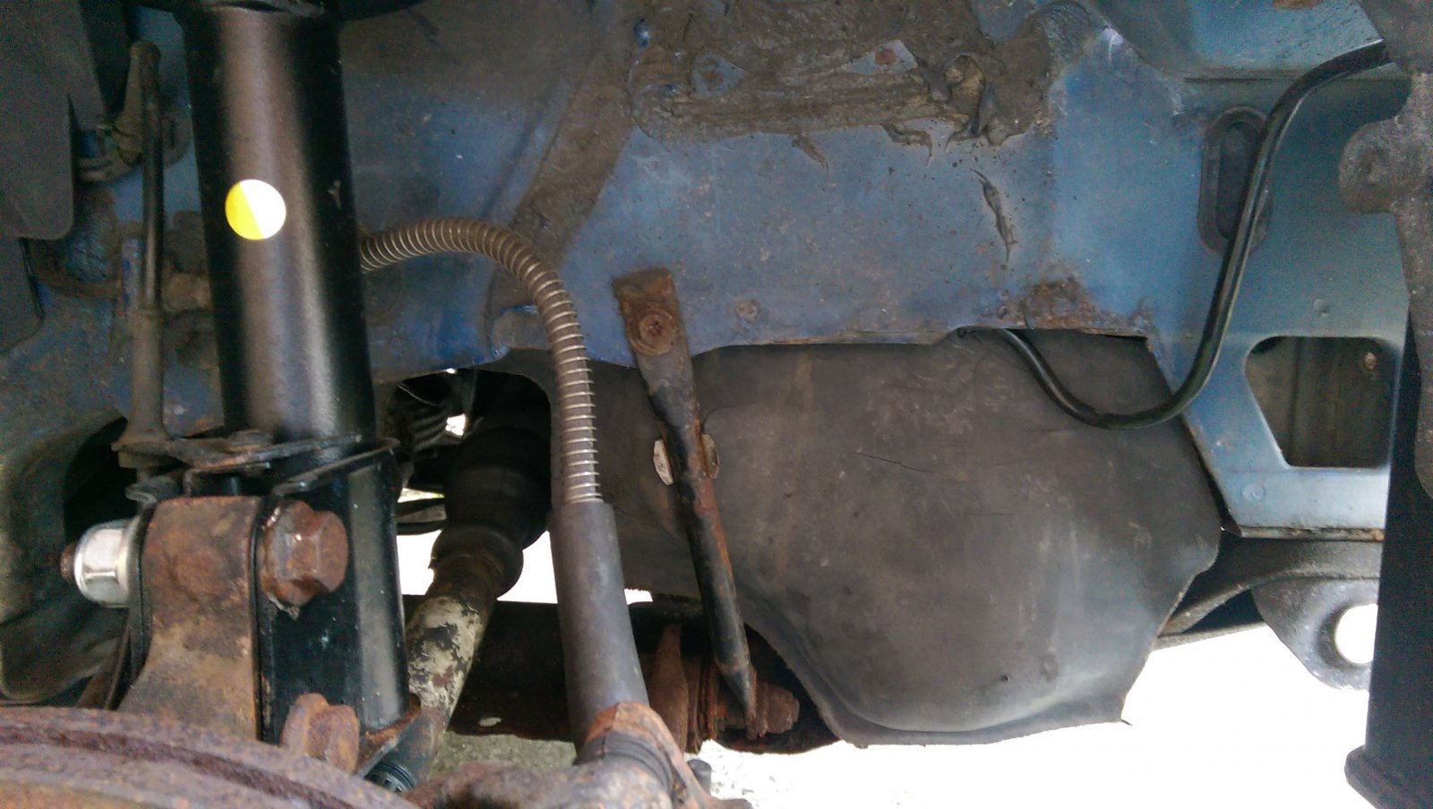 IMAG0445.jpg