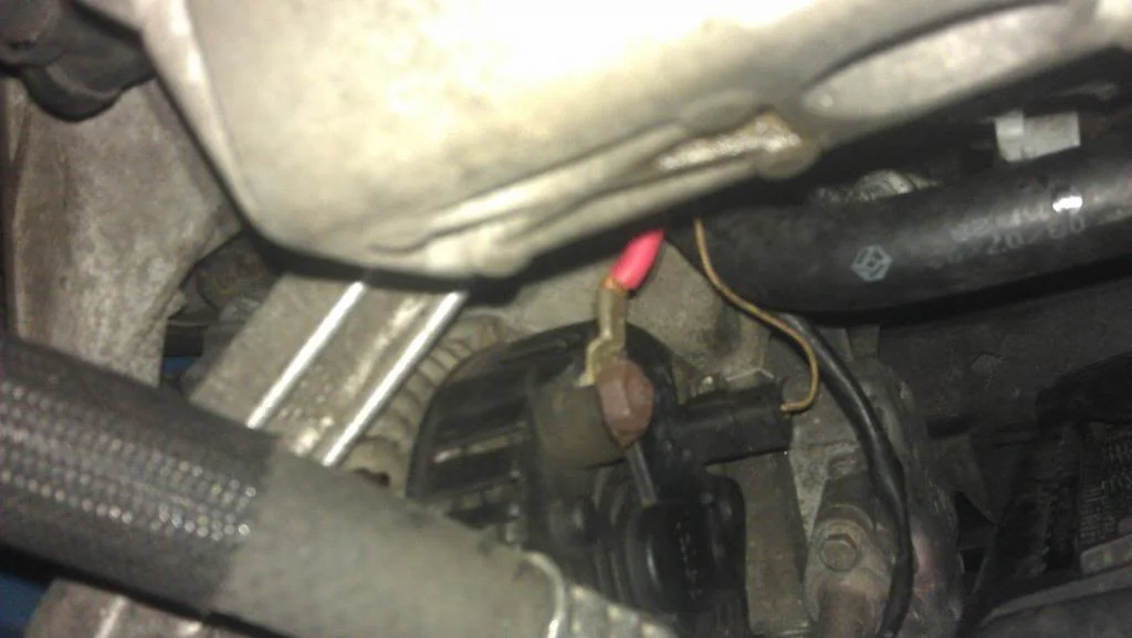 IMAG0451.webp